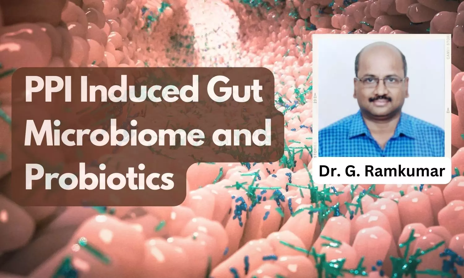 Effect of Long-term PPI use on gut microbiome and Potential Role of Probiotics
