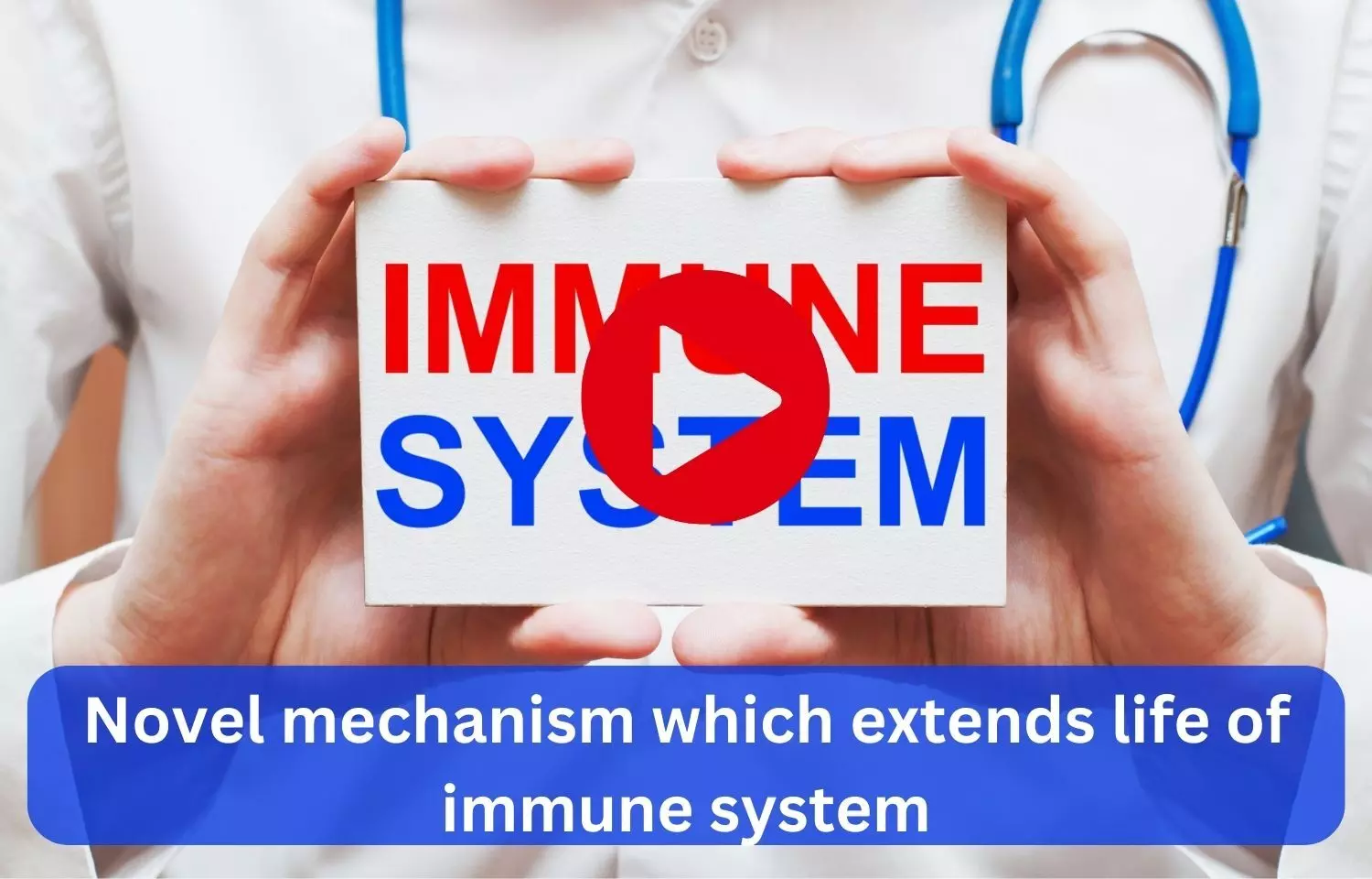Novel mechanism which extends life of immune system
