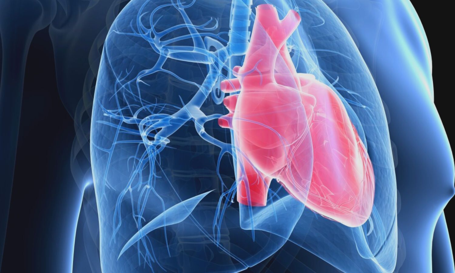 Pulmonary artery denervation is a promising treatment for pulmonary ...