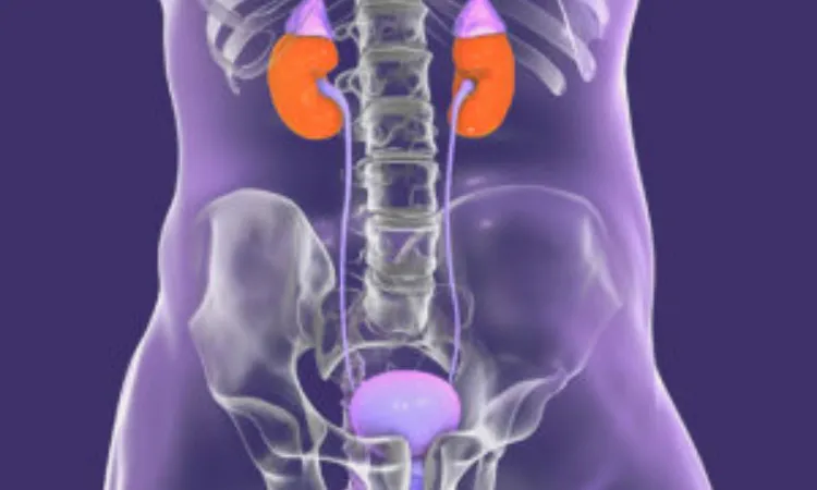 Sacral neuromodulation effective for treating neurogenic lower urinary tract dysfunction: NEJM