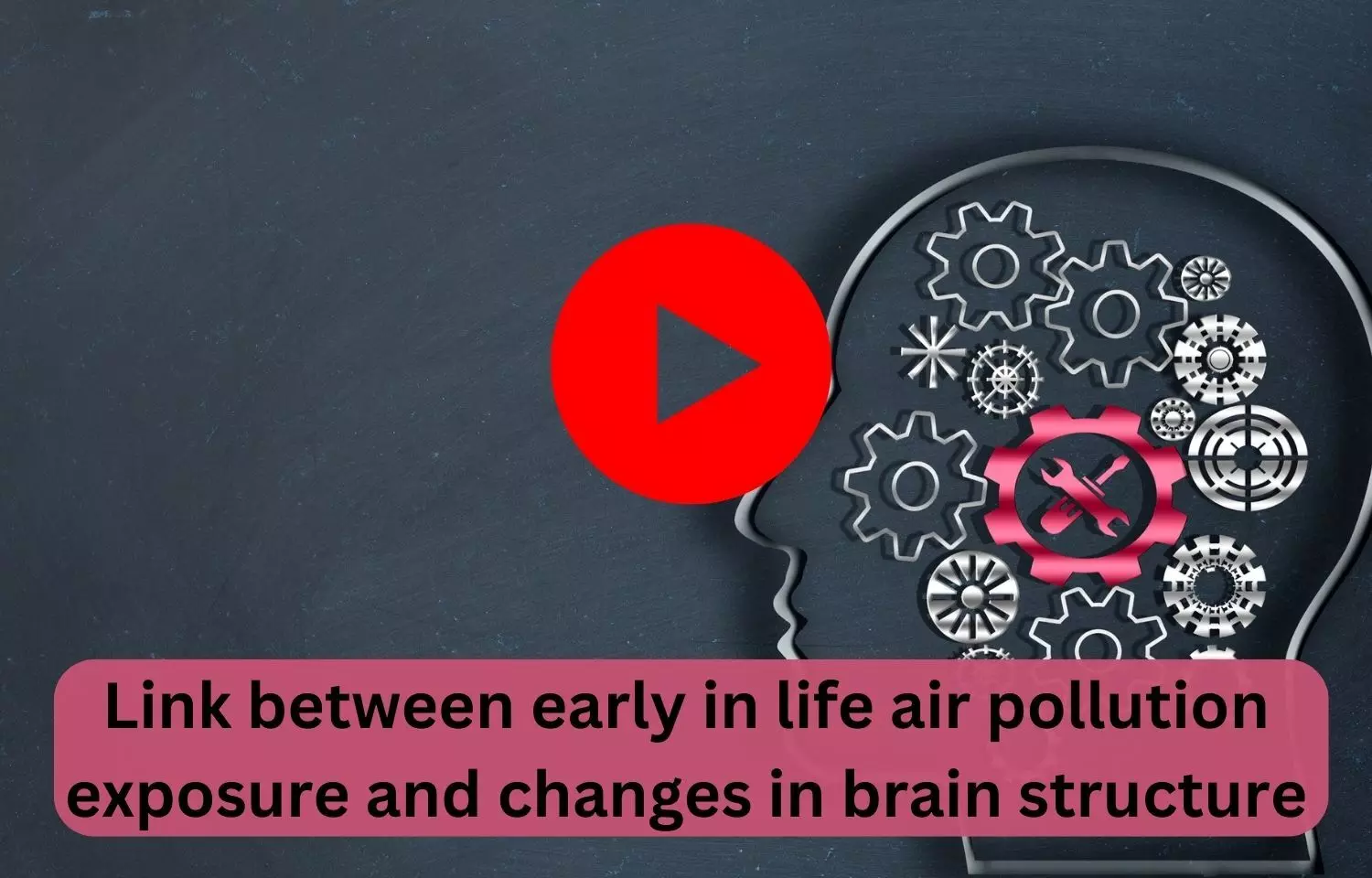 Link between early in life air pollution exposure and changes in brain structure