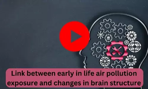 Link between early in life air pollution exposure and changes in brain structure