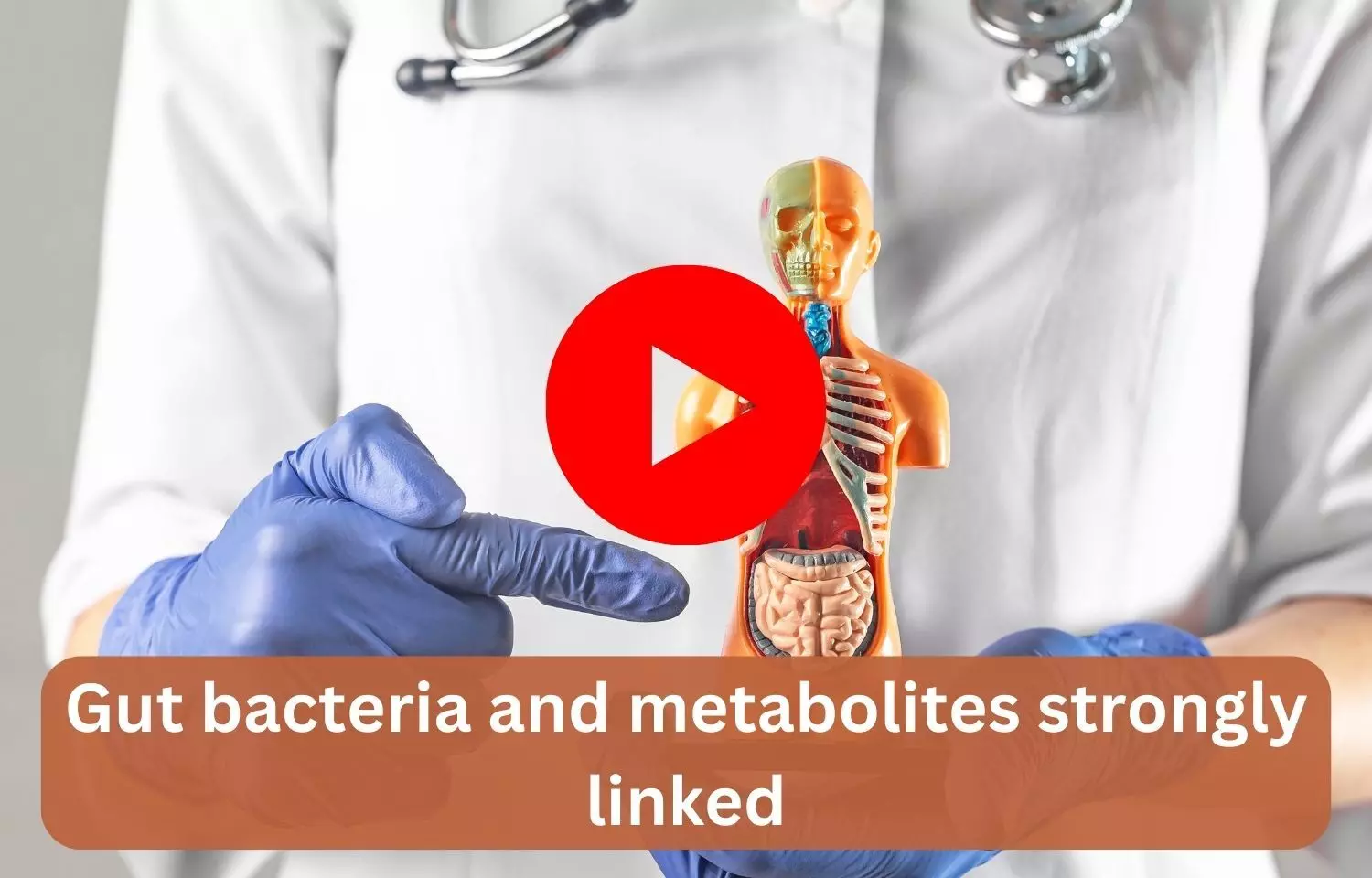 Gut bacteria and metabolites strongly linked
