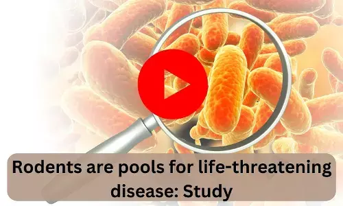 Rodents are pools for life-threatening disease: Study