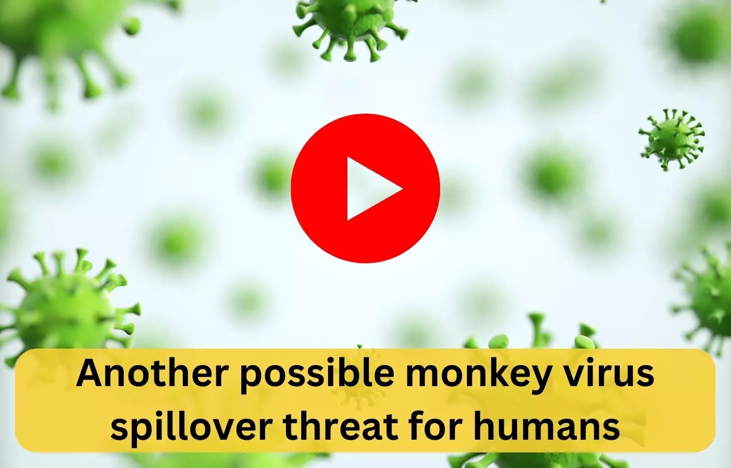 Another possible monkey virus spillover threat for humans