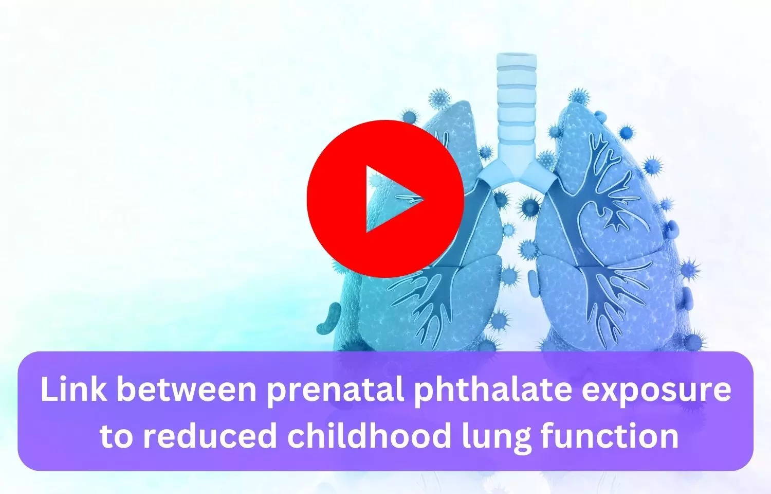 Link between prenatal phthalate exposure to reduced childhood lung function