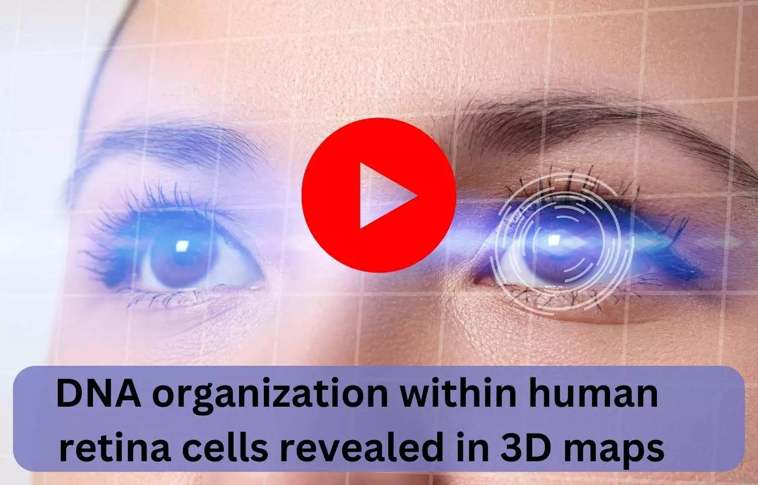 DNA organization within human retina cells revealed in 3D maps