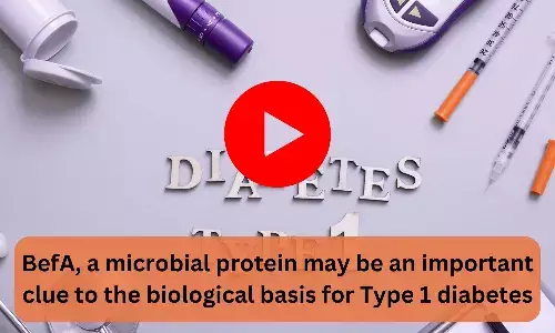 BefA, a microbial protein may be an important clue to the biological basis for Type 1 diabetes
