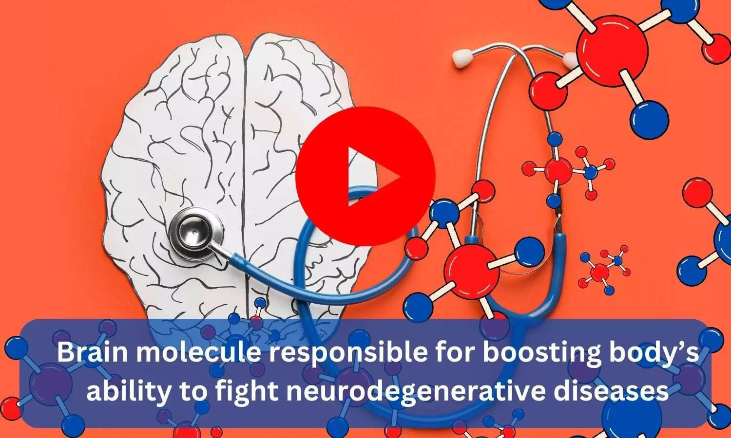 Brain molecule responsible for boosting bodys ability to fight neurodegenerative diseases