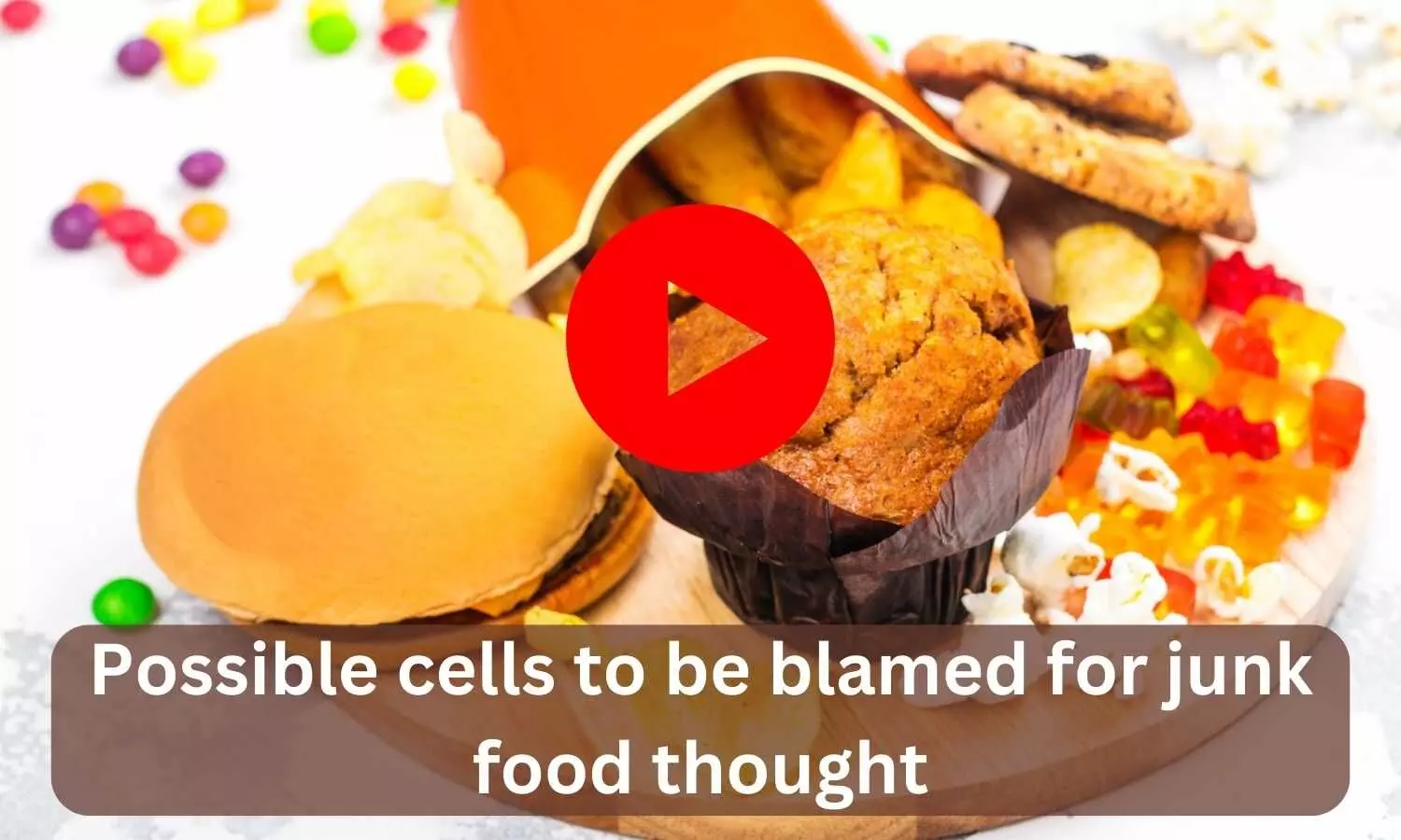 Possible cells to be blamed for junk food thought
