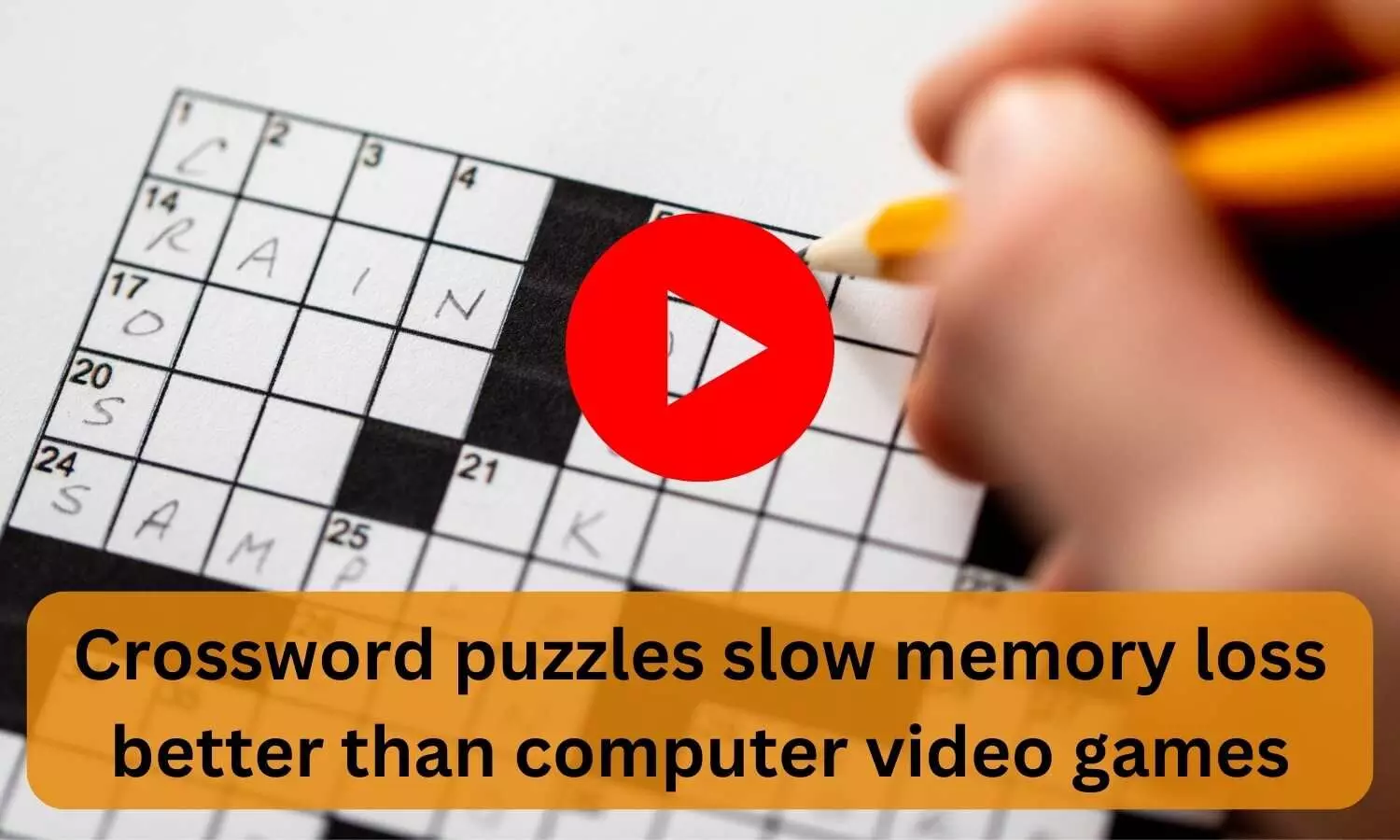 Crossword puzzles slow memory loss better than computer video games
