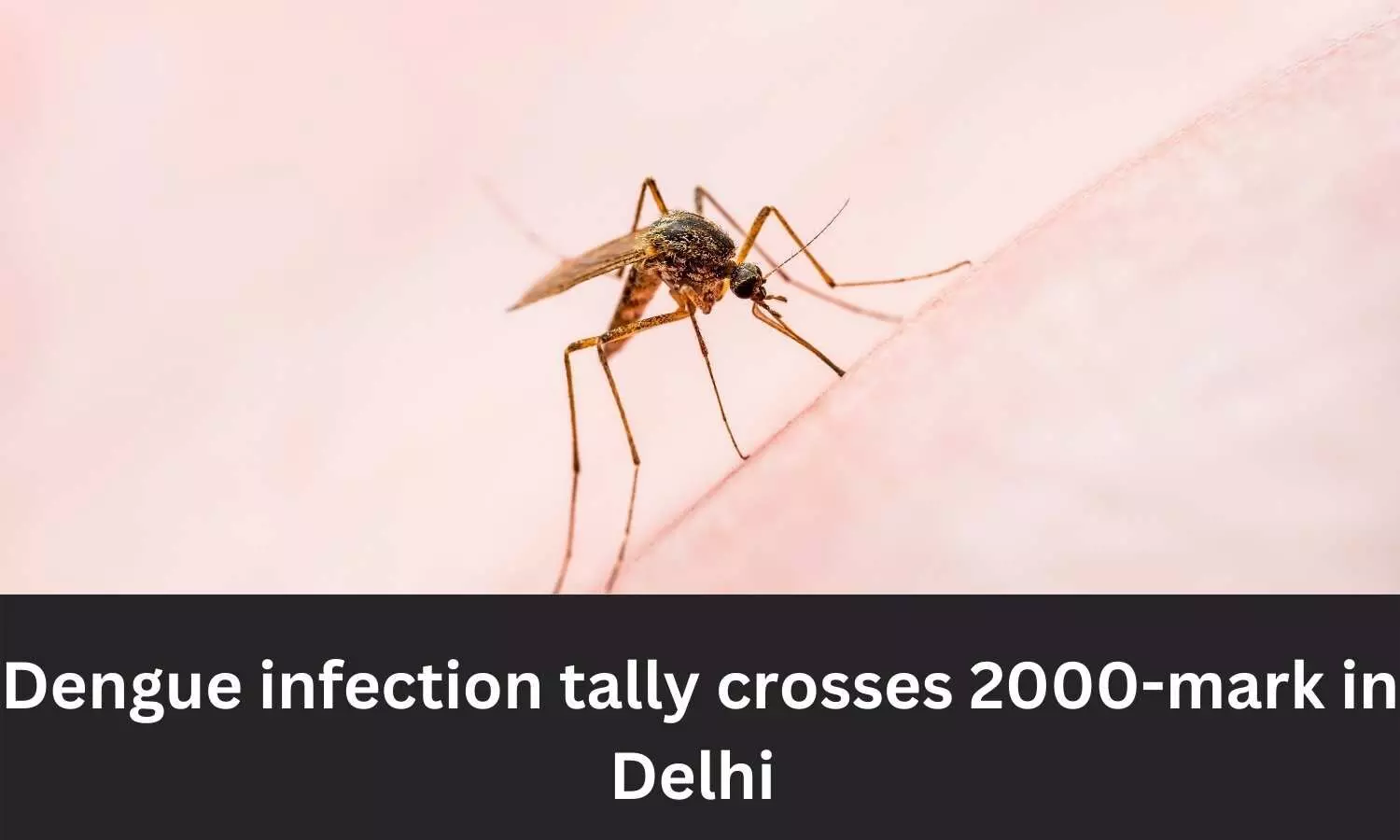 Dengue infection tally crosses 2000 mark in Delhi