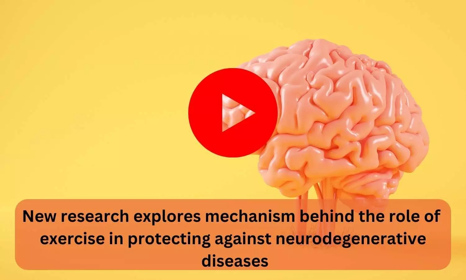 New research explores mechanism behind the role of exercise in protecting against neurodegenerative diseases
