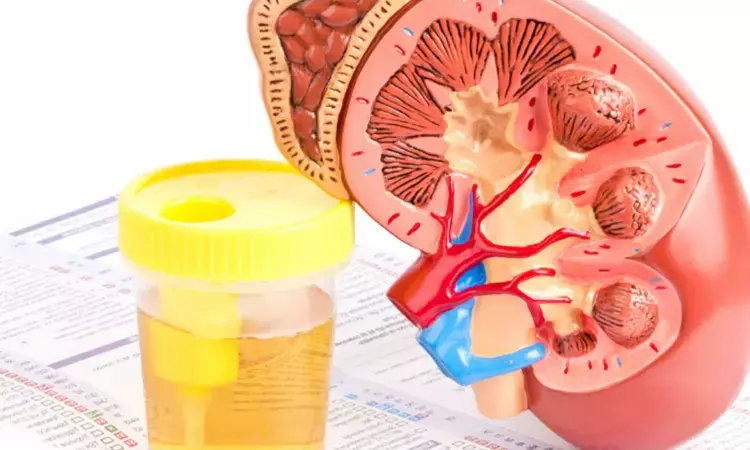 Personalized kidney screening in type 1 diabetes tied to early detection and reduced testing frequency