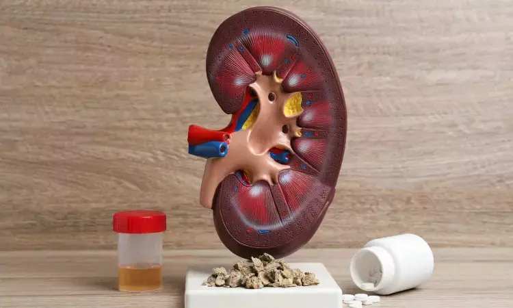 Half of patients with low-grade proteinuria develop treatable lupus nephritis within two years