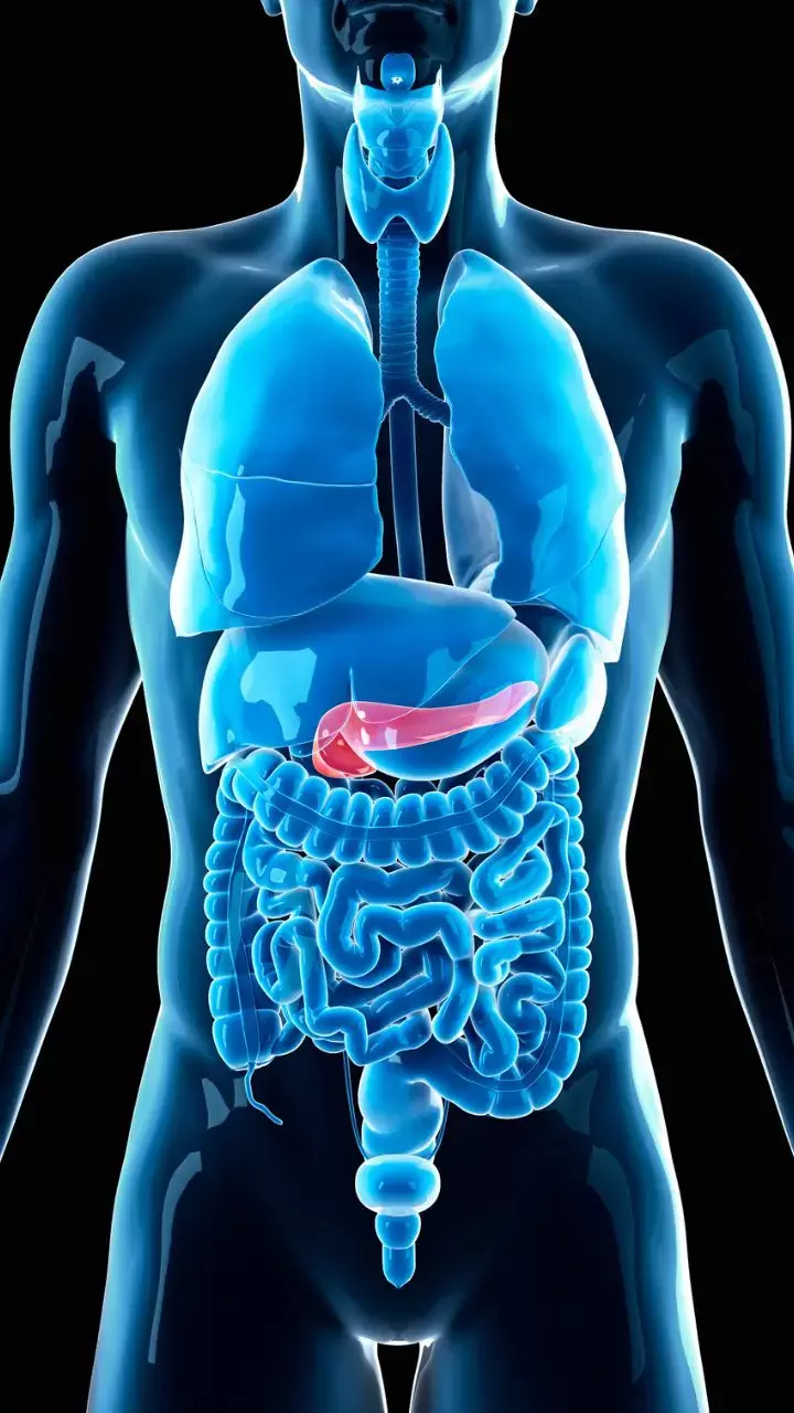 World Pancreatic Cancer Day 2022