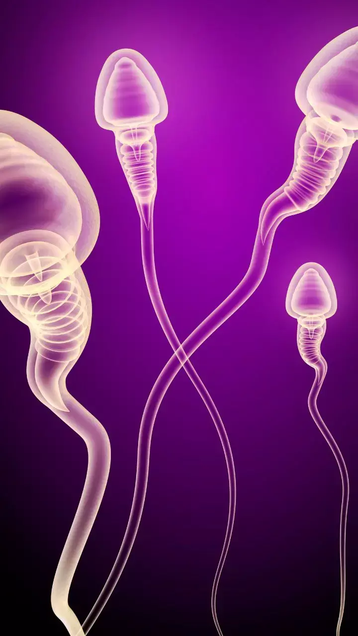 No Nut November: Is It Healthy or Not?