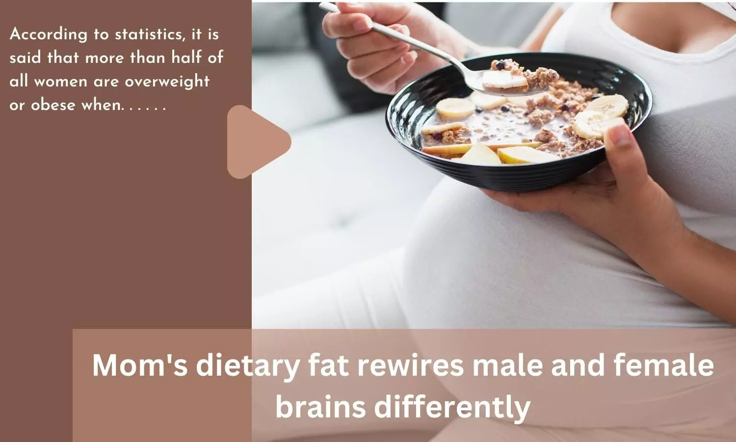 Moms dietary fat rewires male and female brains differently