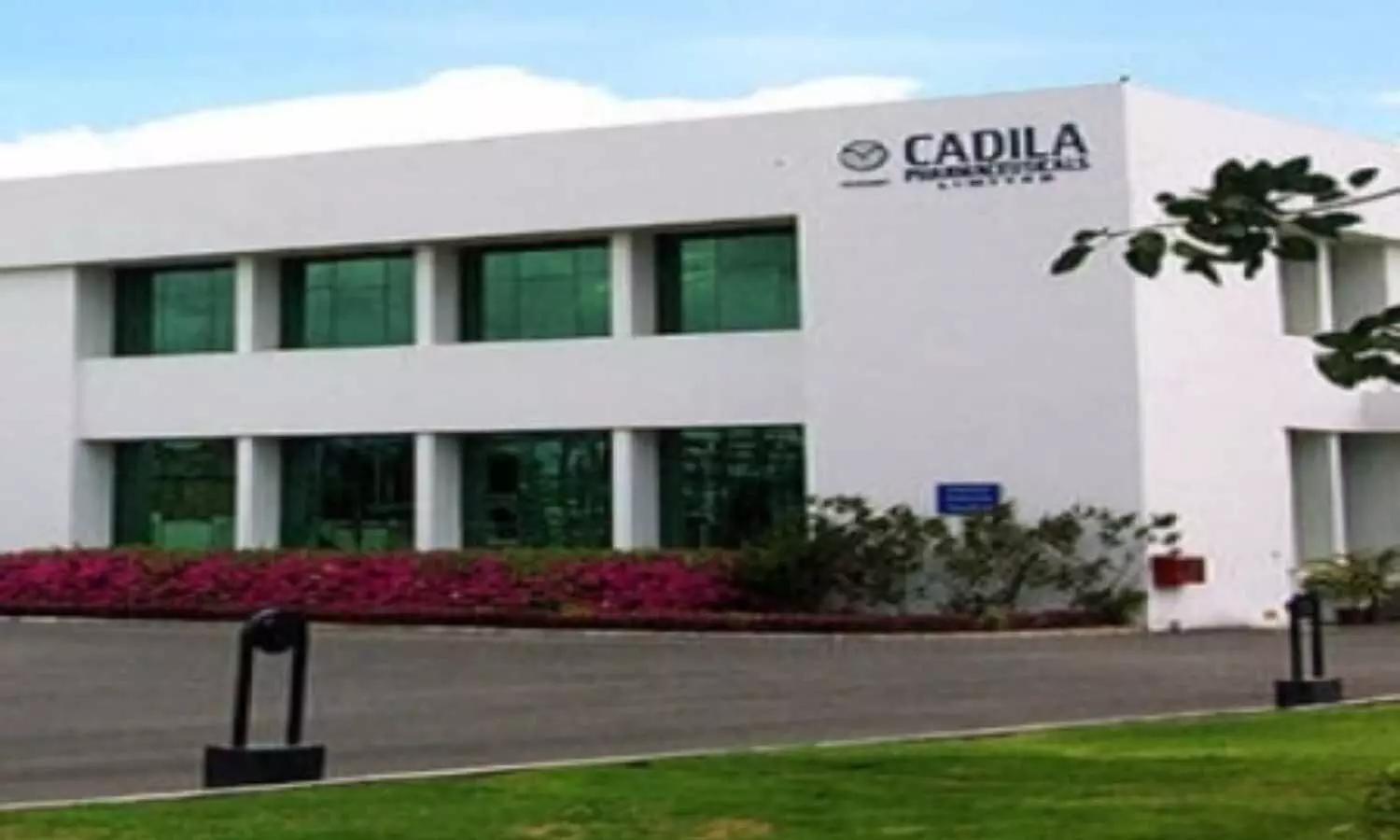 Cadila Gets CDSCO Panel Nod To Manufacture, Market Cholecalciferol aqueous injection