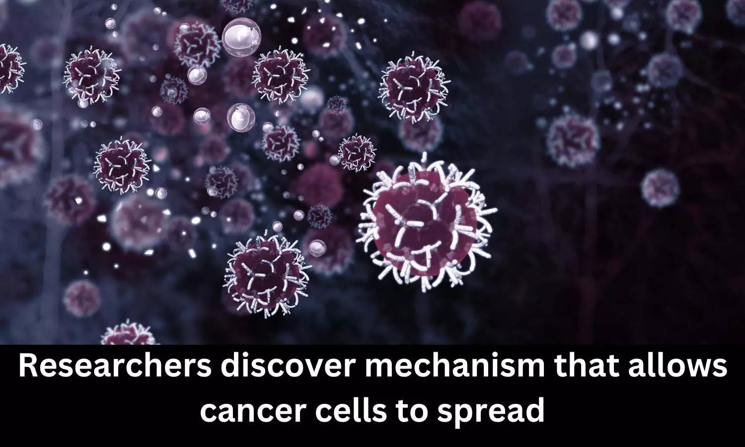 Researchers discover mechanism that allows cancer cells to spread