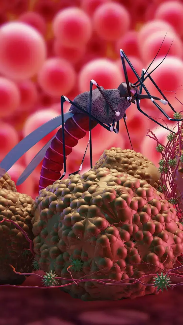 5 Year Old Girl Tests Positive For Zika Virus; Know All About The Disease