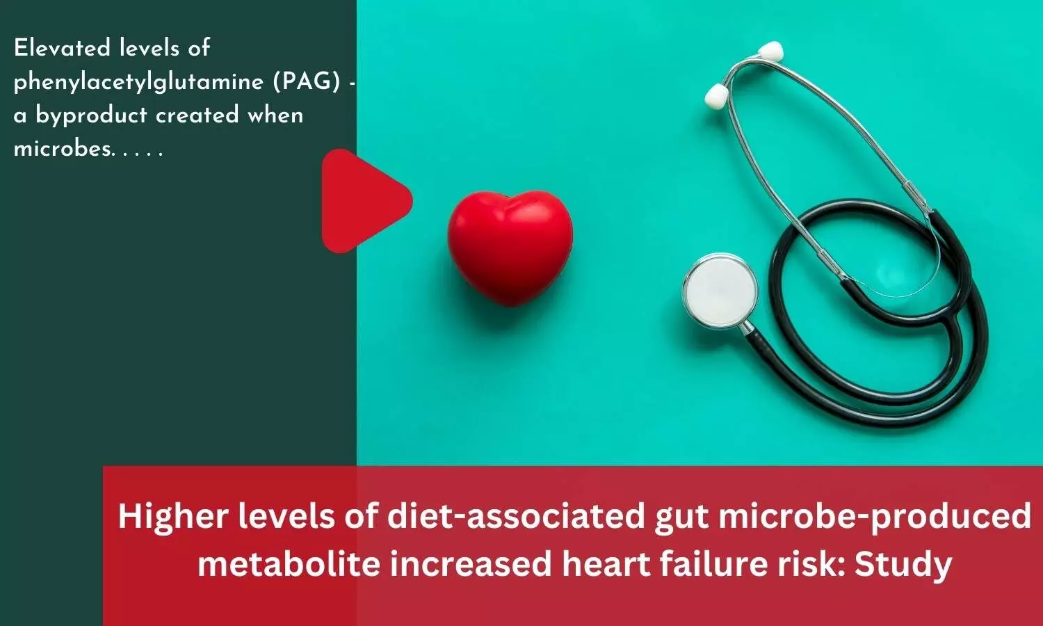 Higher levels of diet-associated gut microbe-produced metabolite increased heart failure risk: Study