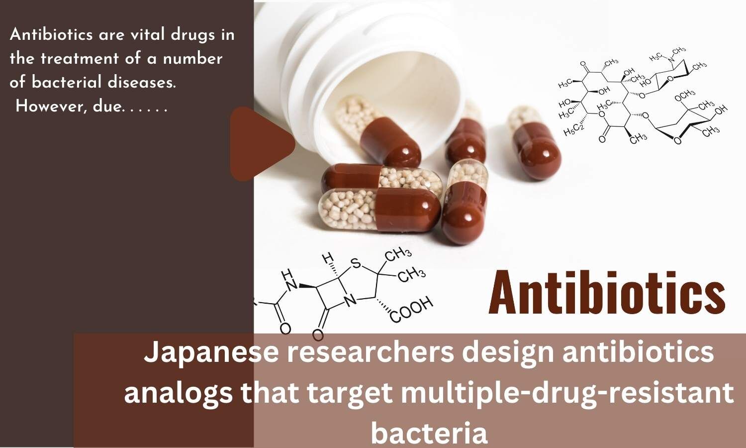 Japanese researchers design antibiotics analogs that target multiple