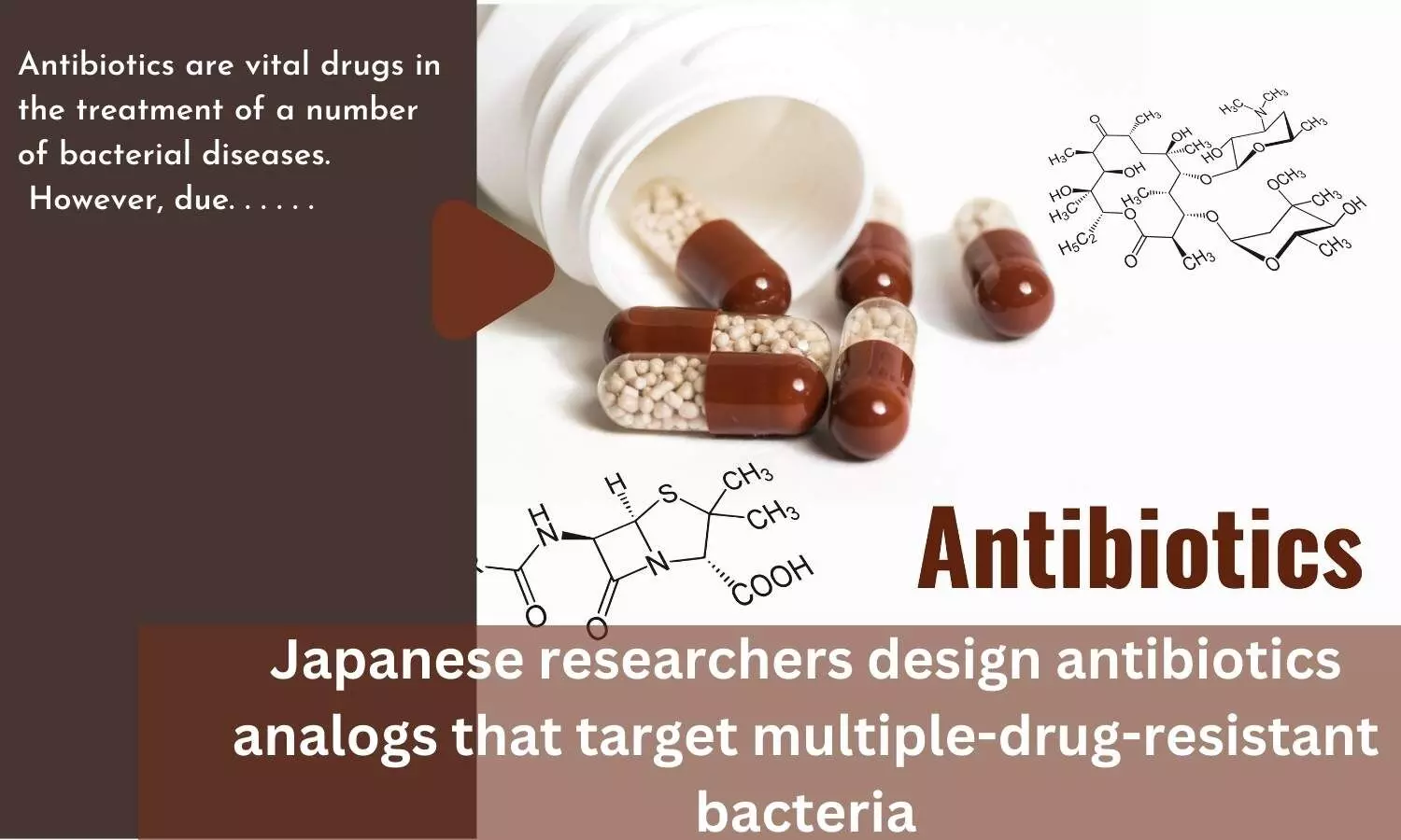 Japanese researchers design antibiotics analogs that target multiple-drug-resistant bacteria