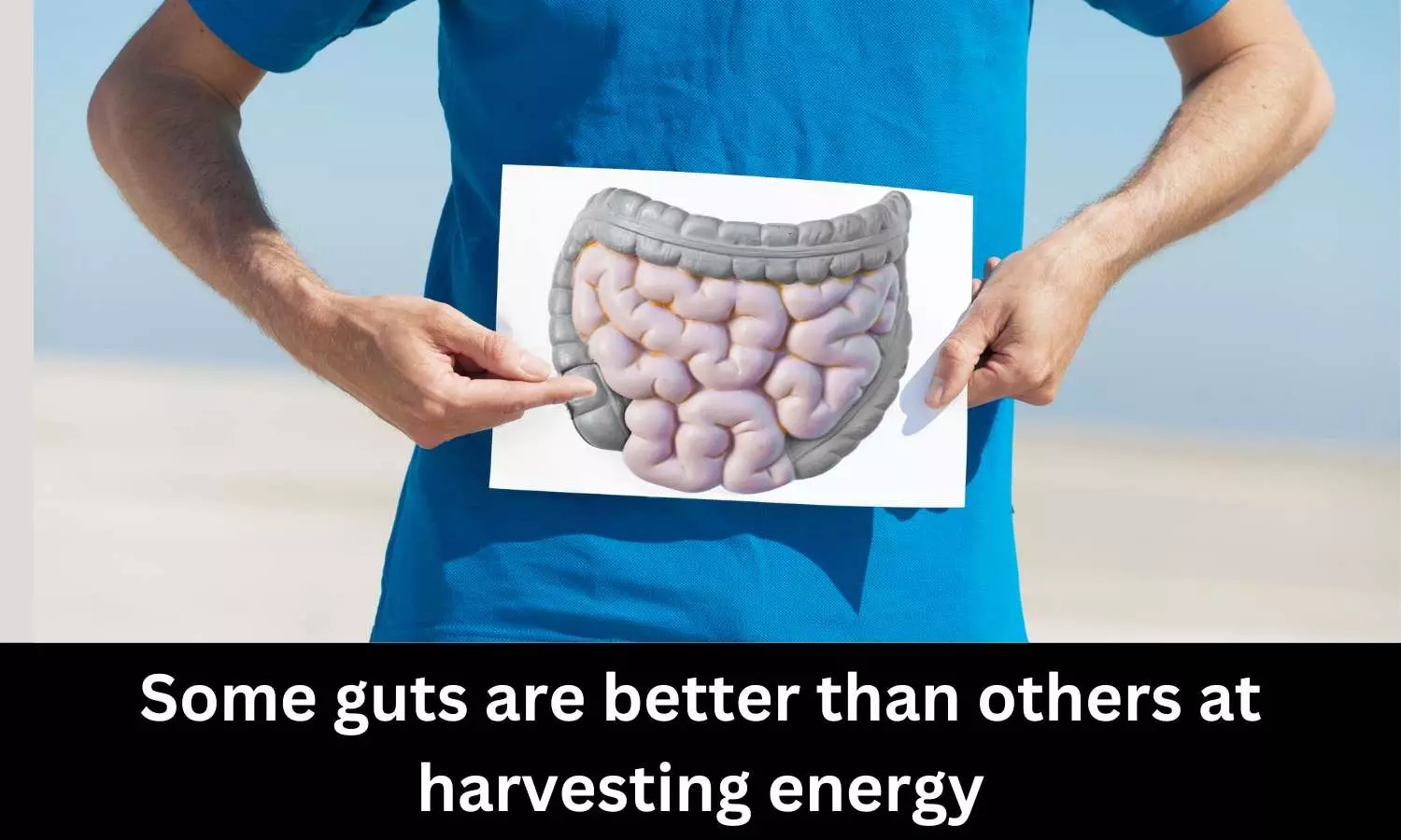 Some guts are better than others at harvesting energy