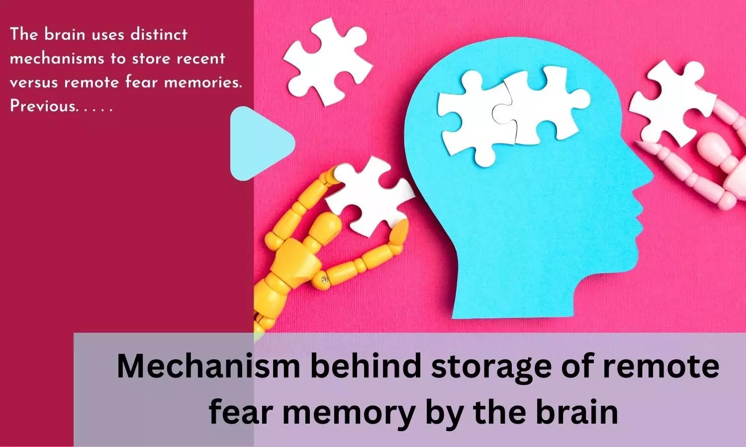 Mechanism behind storage of remote fear memory by the brain