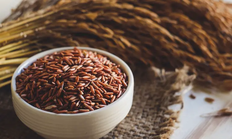 Unlocking the Potential: Germinated brown and black rice show promise for managing type 2 diabetes with dyslipidemia in new research