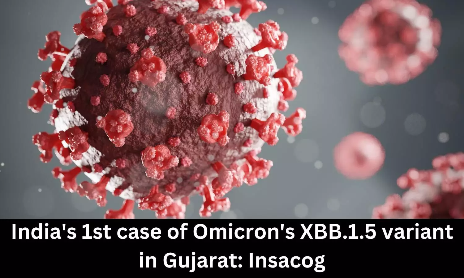 India records 1st case of Omicron XBB.1.5 variant in Gujarat: Insacog