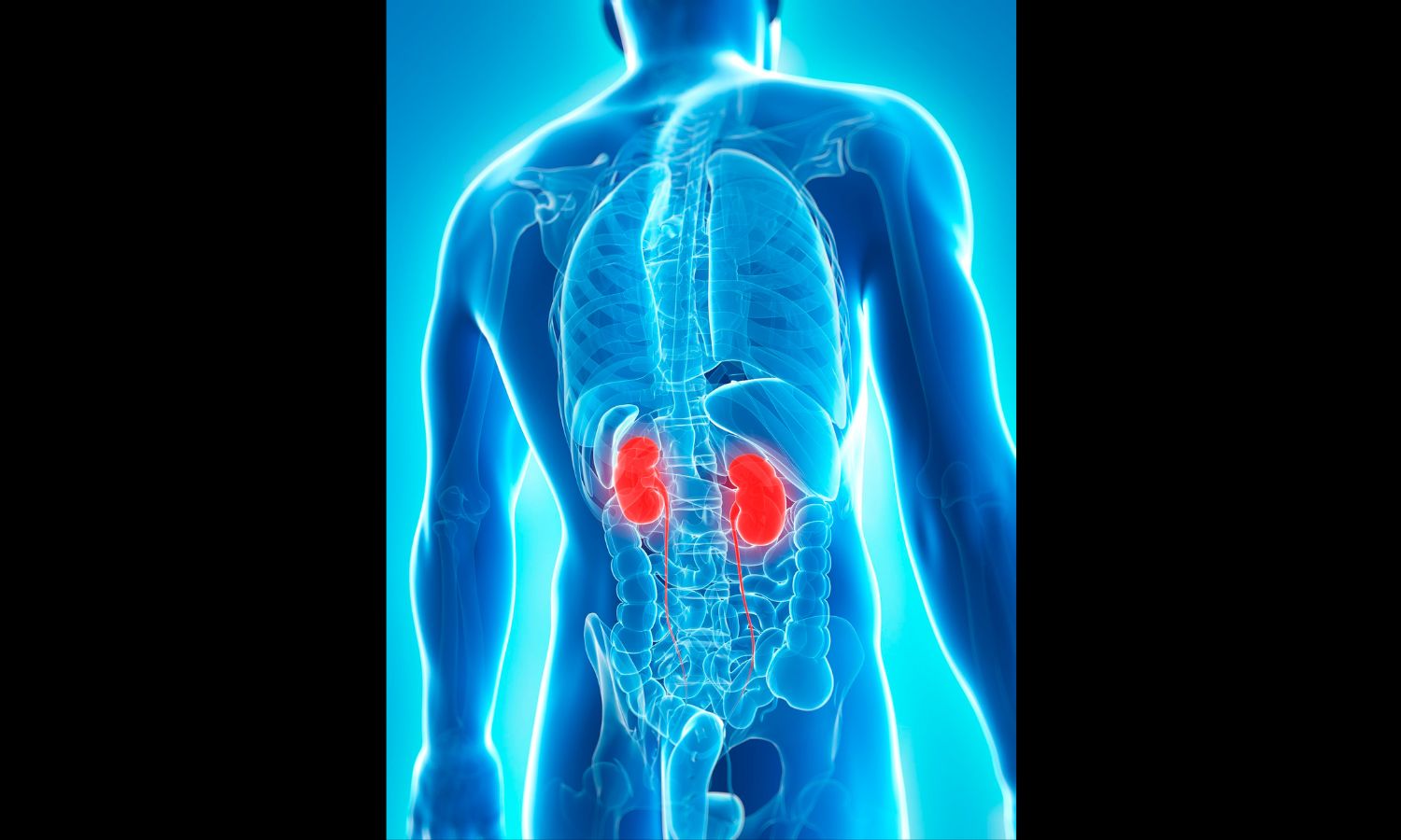 5-superfoods-kidney-patients-should-include-in-their-diet