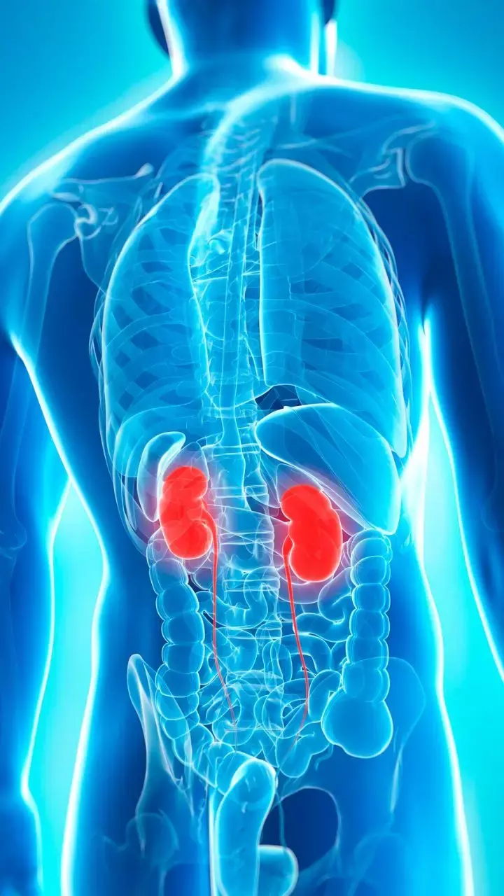5 Superfoods Kidney Patients Should Include In Their Diet