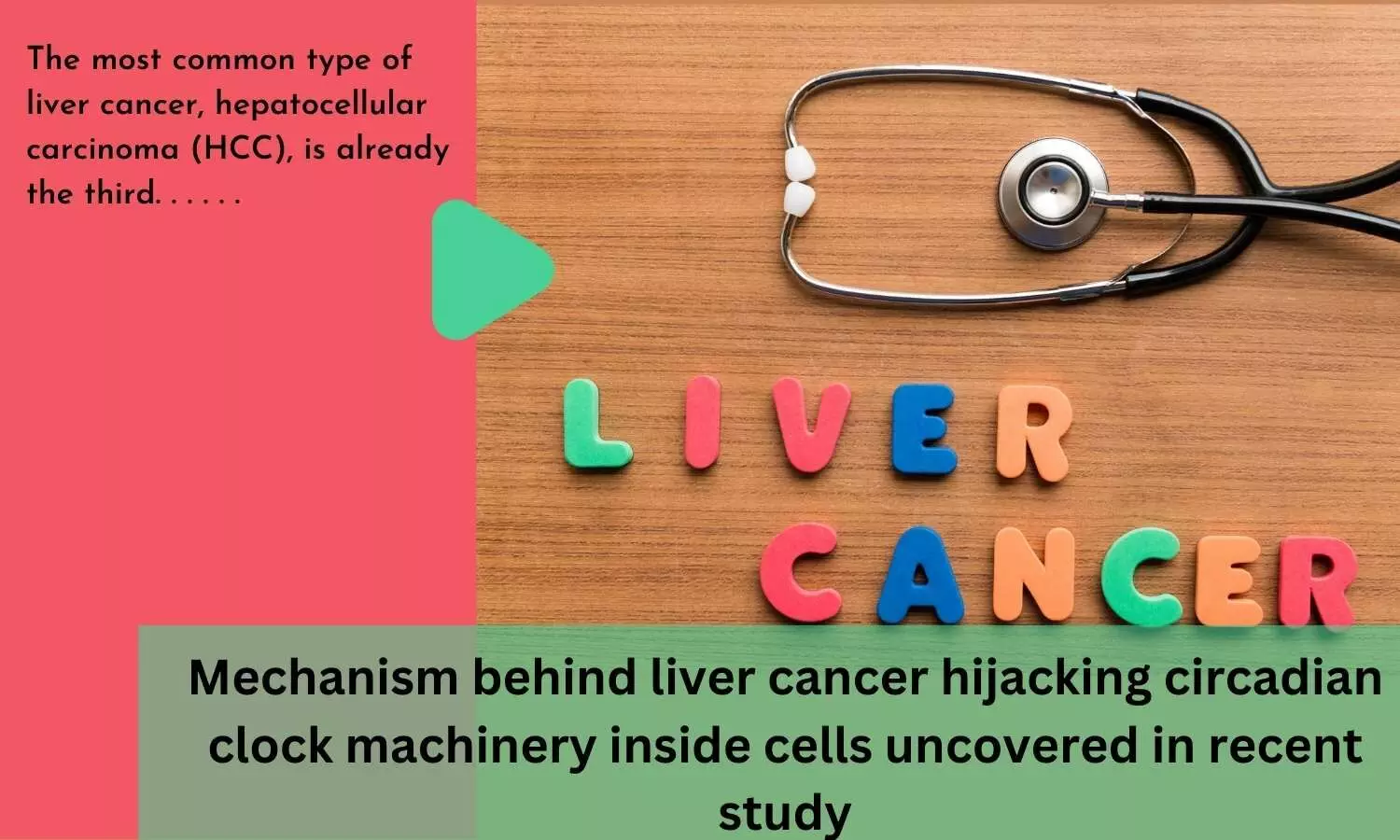 Mechanism behind liver cancer hijacking circadian clock machinery inside cells uncovered in recent study