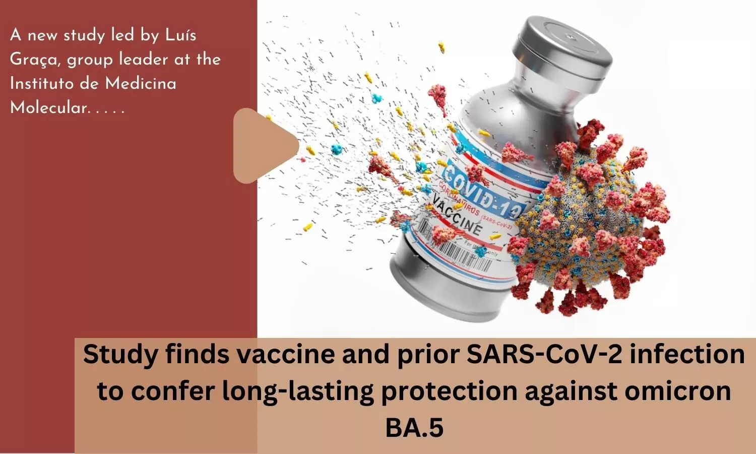 Study finds vaccine and prior SARS-CoV-2 infection to confer long-lasting protection against omicron BA.5