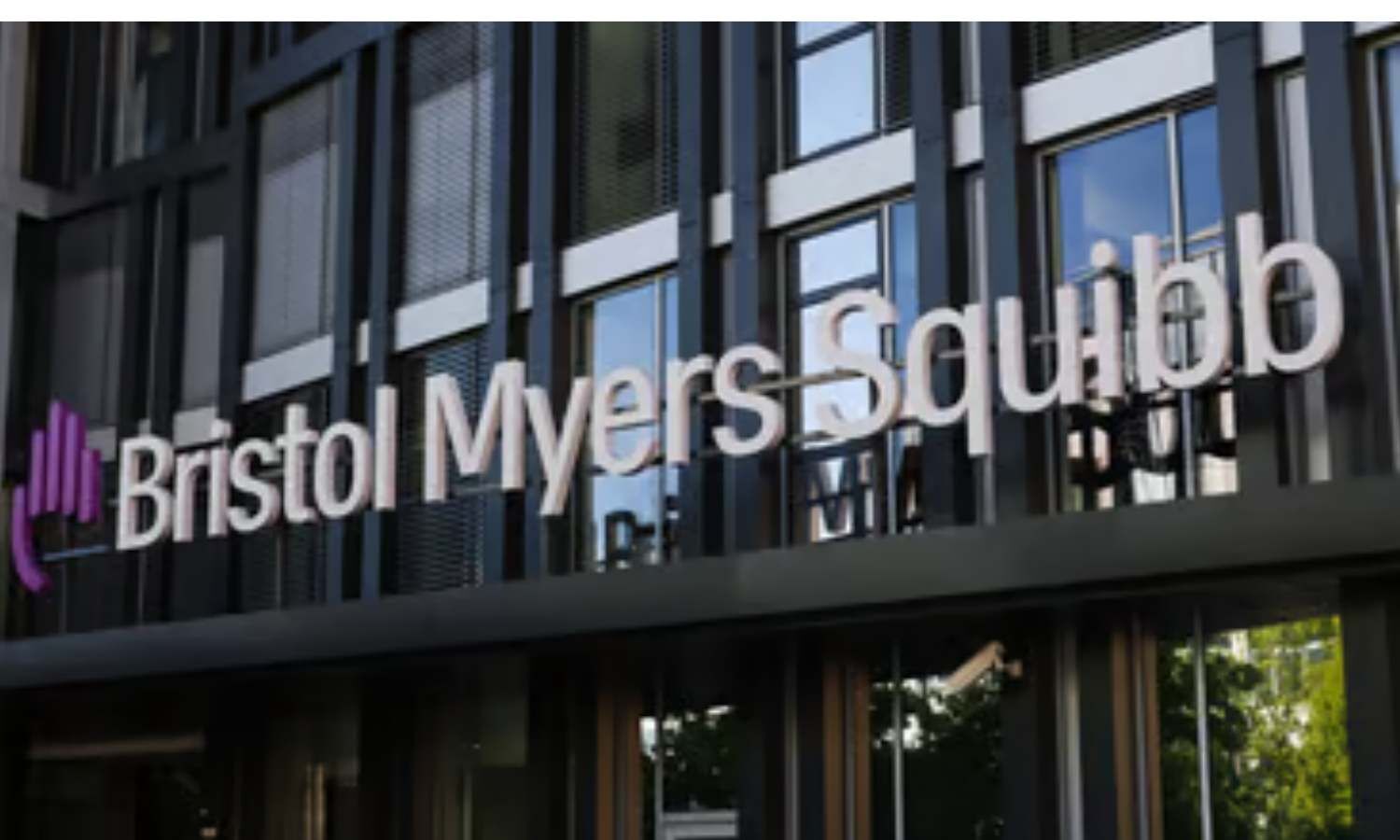 Bristol Myers Squibb gets European Commission nod for Opdivo plus ...