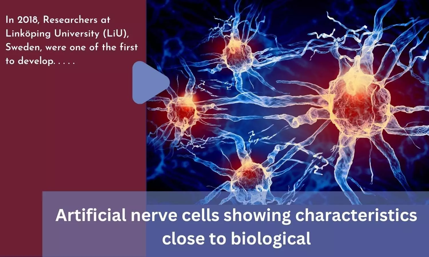 Artificial nerve cells showing characteristics close to biological