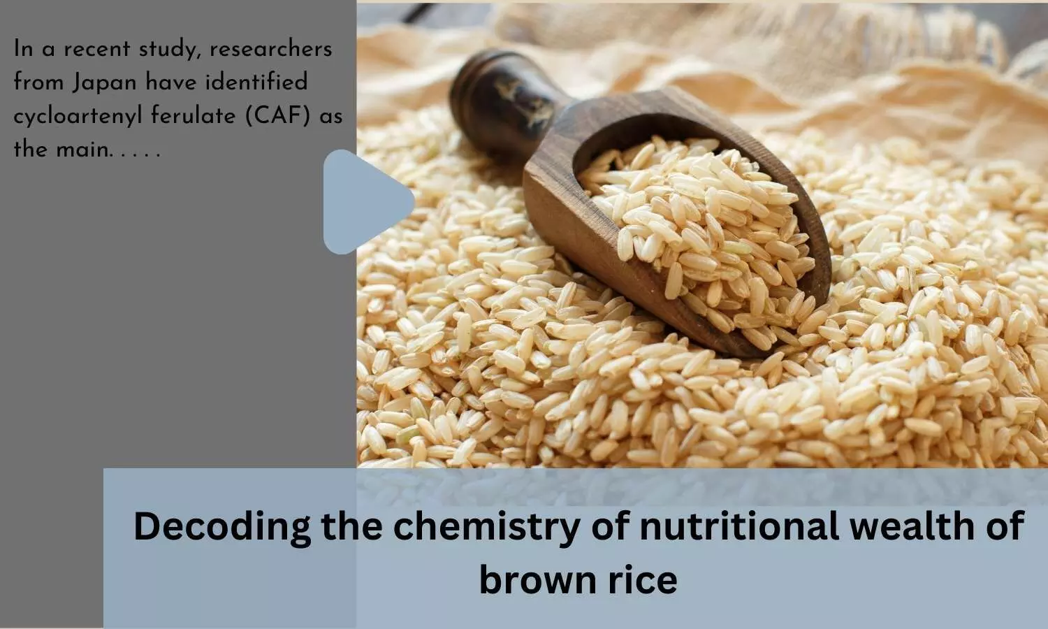 Decoding the chemistry of nutritional wealth of brown rice