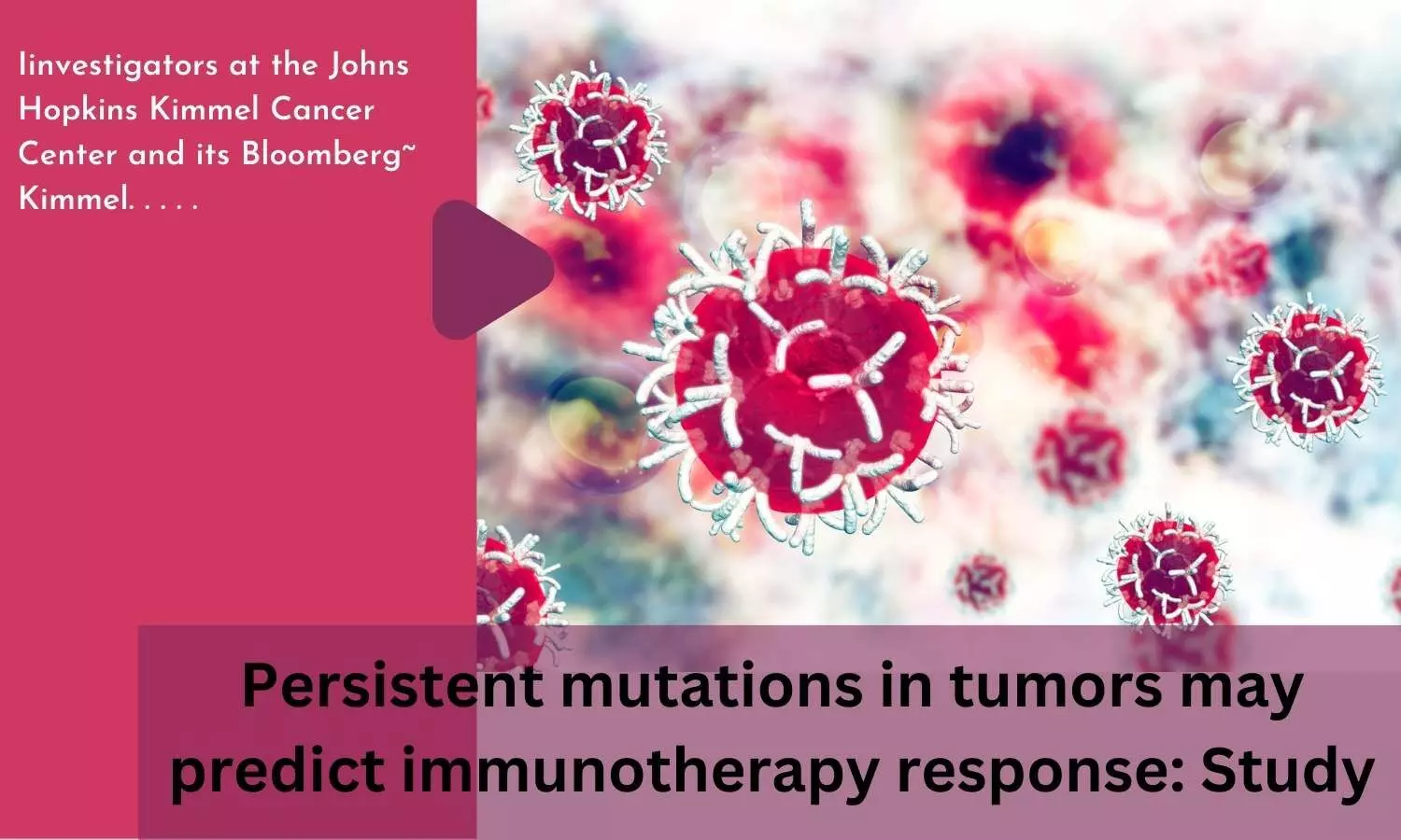 Persistent mutations in tumors may predict immunotherapy response: Study