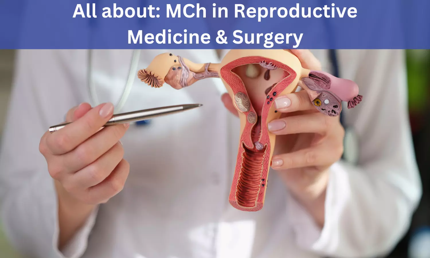 phd programs in reproductive medicine