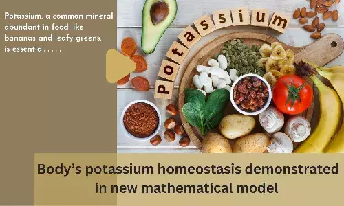 Bodys potassium homeostasis demonstrated in new mathematical model