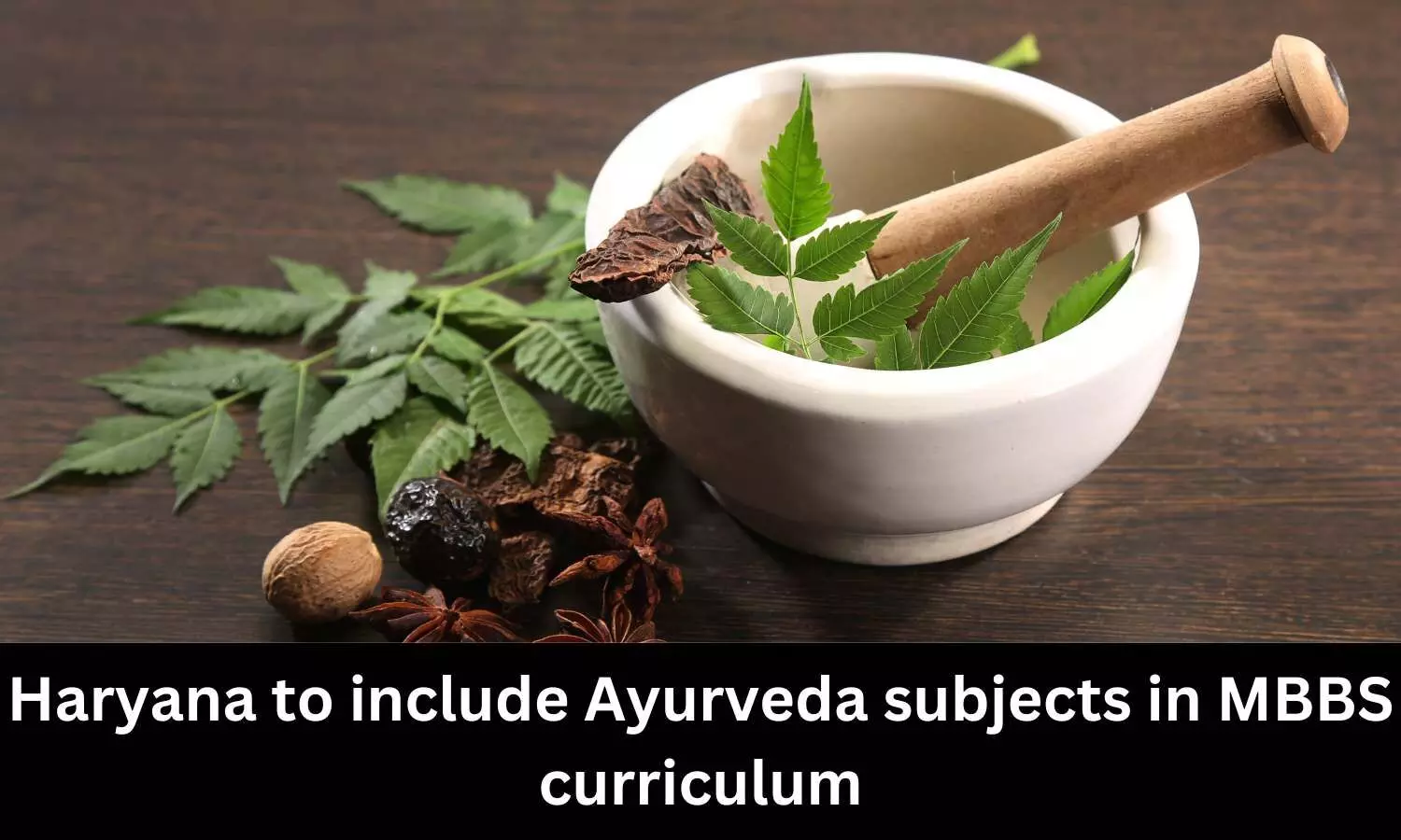 Haryana plans to include ayurveda in MBBS course