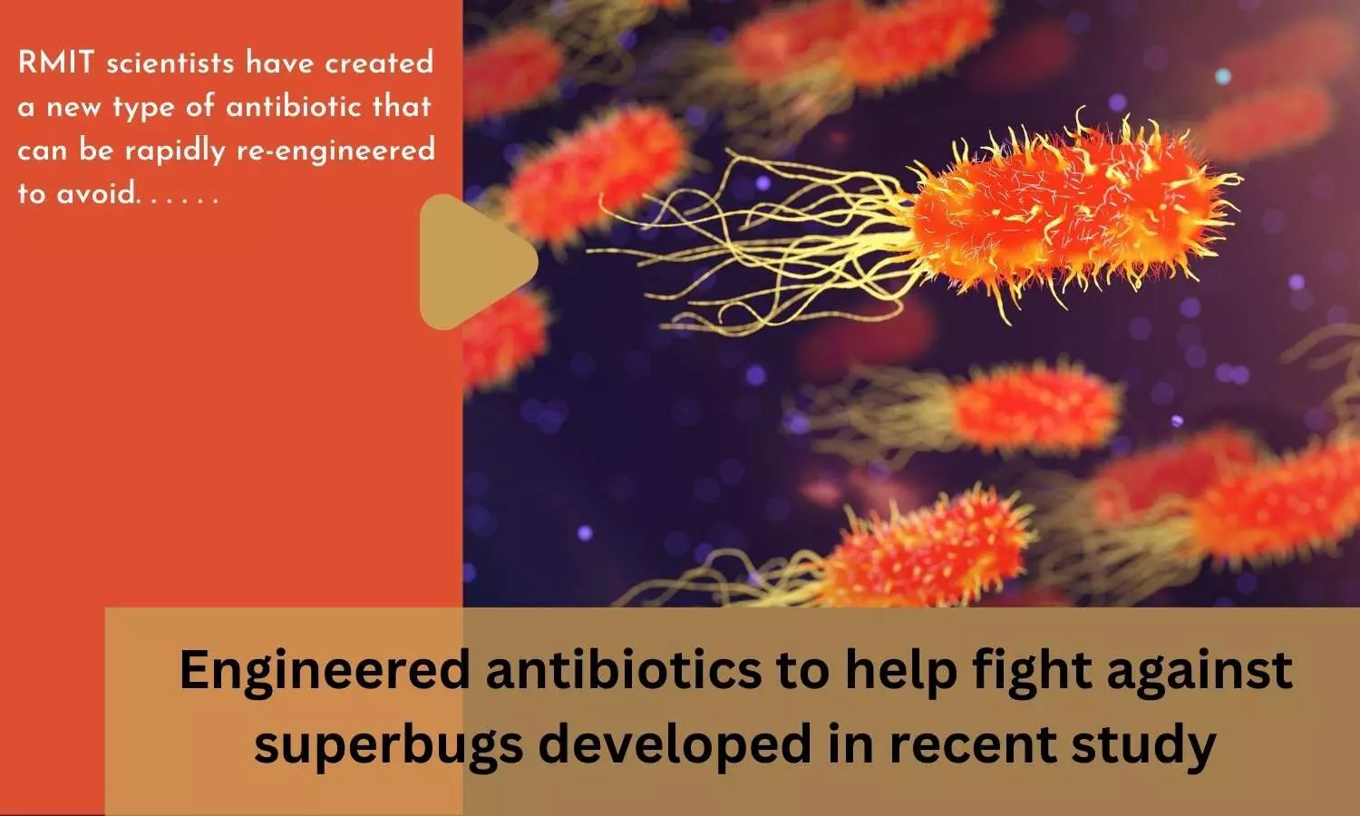 Engineered antibiotics to help fight against superbugs developed in recent study