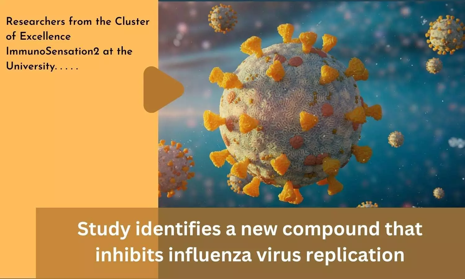 Study identifies a new compound that inhibits influenza virus replication