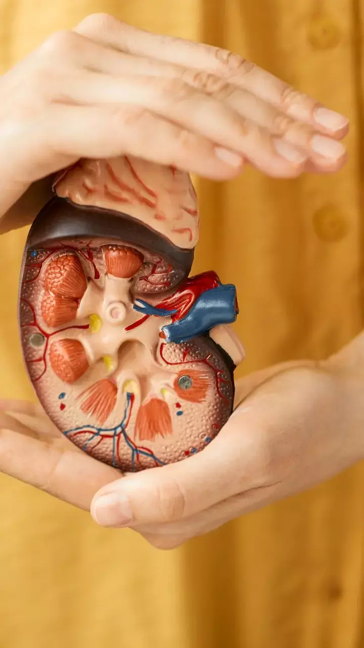 Managing Heat Stress And Kidney Injury: Dr Vinod Kumar