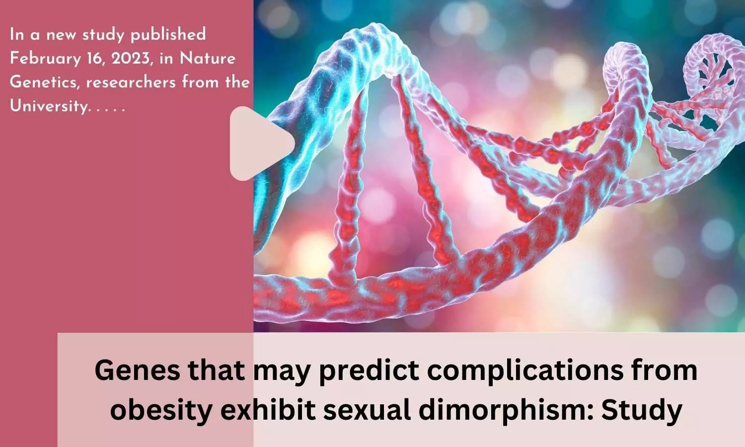 Genes that may predict complications from obesity exhibit sexual dimorphism: Study