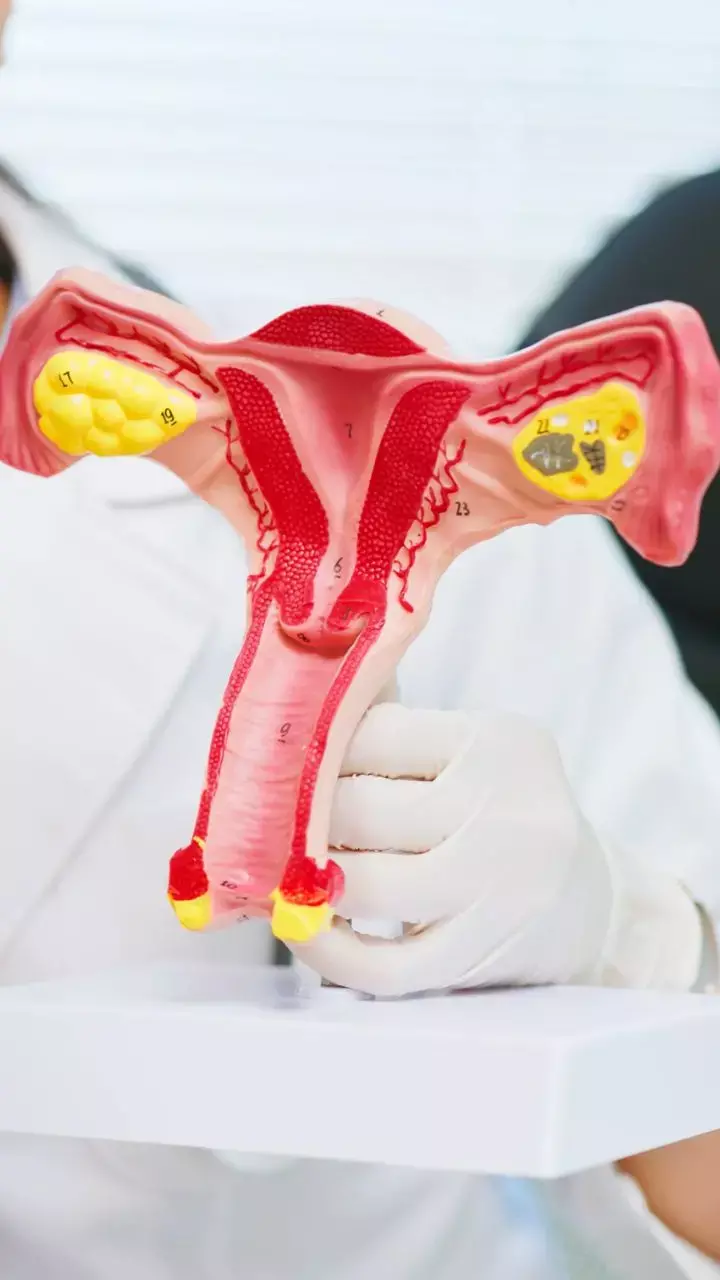 The Kasauli-Based Central Drugs Laboratory Releases Cervical Cancer Vaccine