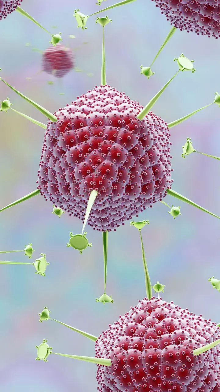 Adenovirus Cases Spike In West Bengal: Know All About Adenovirus