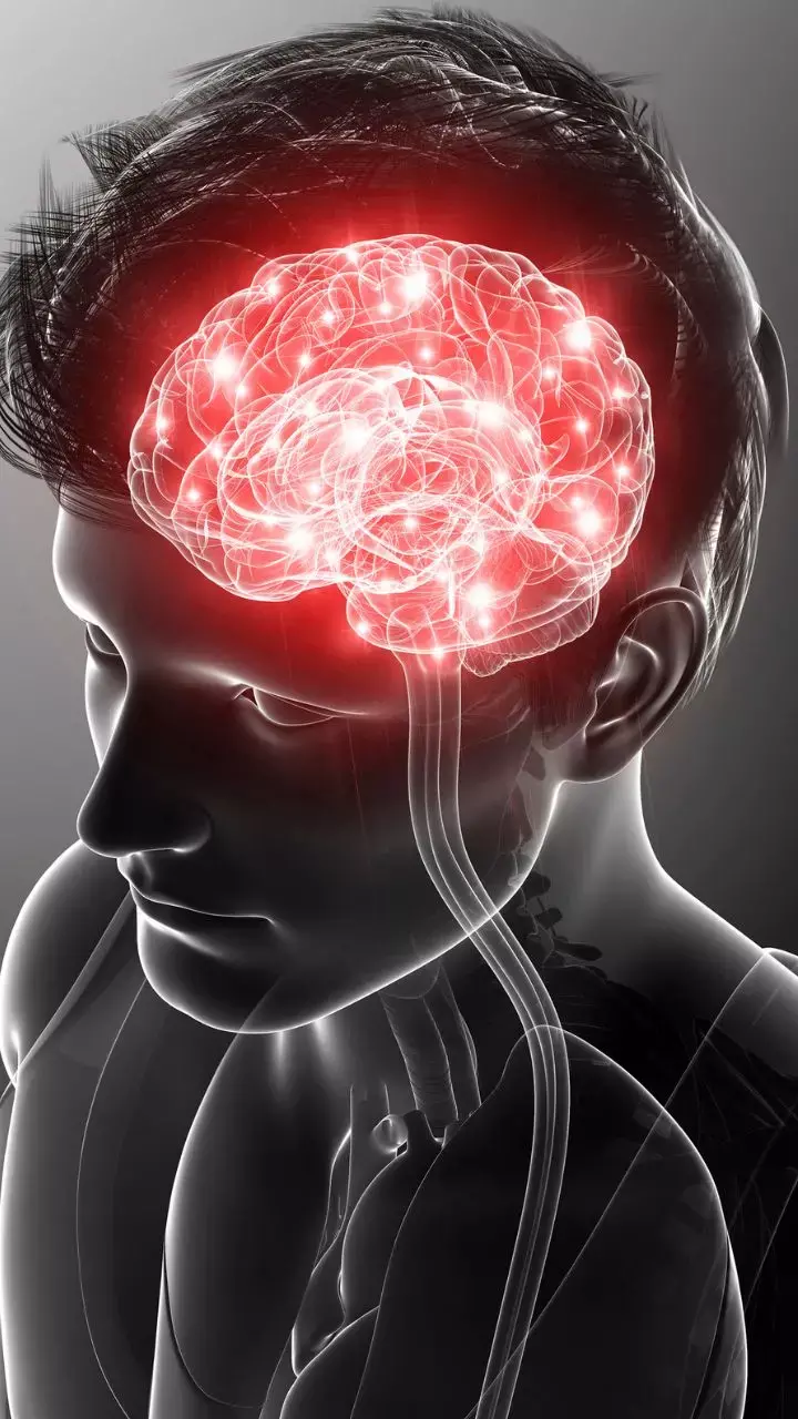 Increased Cognitive Decline In Older Adults Due To Food Insecurity; Research